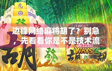 边锋网络麻将胡了?别急,先看看你是不是技术流还是运气帝! 边锋网络麻将胡了?别急,先看看你是不是技术流还是运气帝!