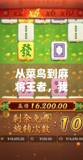 从菜鸟到麻将王者，我胡了21000次，才明白人生最深的局不在牌桌上