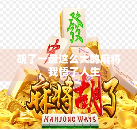 胡了一盘这么大的麻将，我悟了人生
