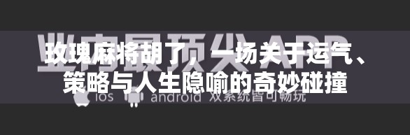 玫瑰麻将胡了,一场关于运气、策略与人生隐喻的奇妙碰撞